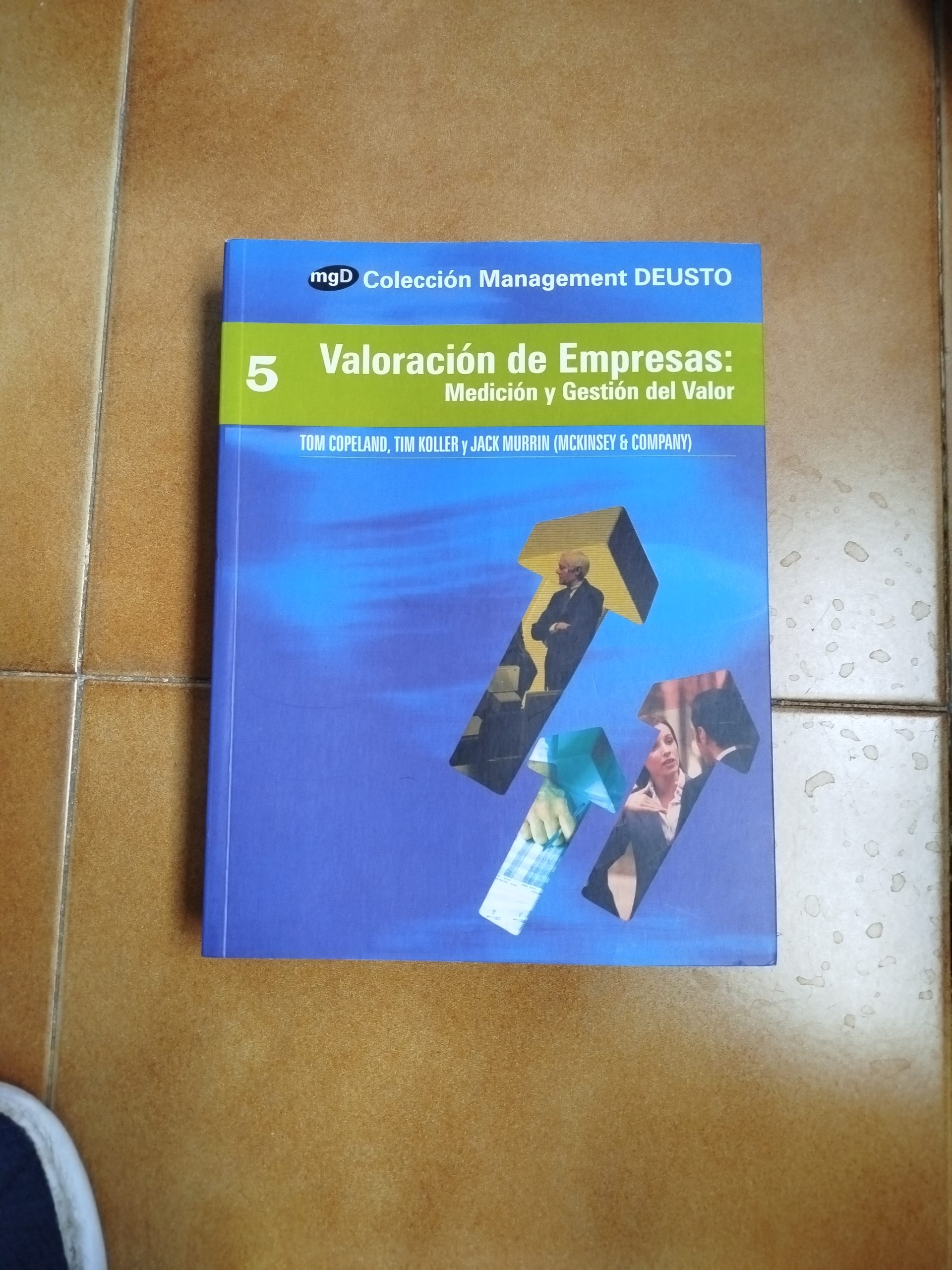 Valoración de Empresas: Medición y Gestión del Valor